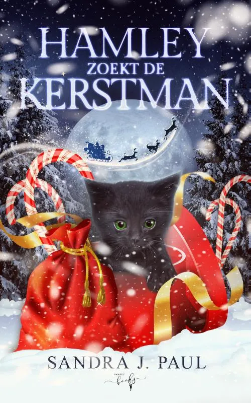 Hamley zoekt de Kerstman | 9789464510959 Hamley zoekt de Kerstman