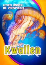 Kwallen | 9789463411417