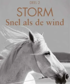 De laatste vechter