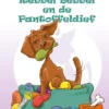 Rebbel Bebbel en de Pantoffeldief | 9789090334509