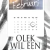 Olek wil een auto | 9789086964710