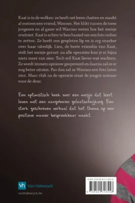 Alternative view of Gebroken glimlach