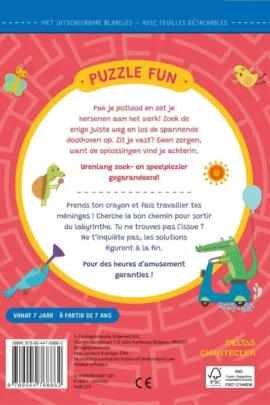 Alternative view of Doolhoven / Puzzle Fun - Labyrinthes