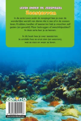 Alternative view of Zeesterren