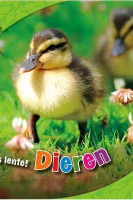 Dieren