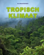 Tropisch klimaat | 9789464391015