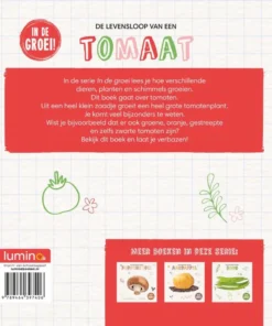 Alternative view of Tomaat