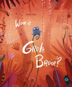 Waar is Grote Broer?