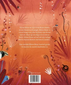 Alternative view of Waar is Grote Broer?