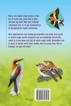 Alternative view of Vogels herkennen en observeren