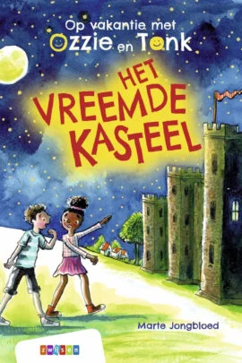 Het vreemde kasteel