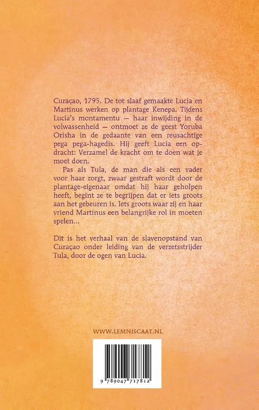 De opdracht van Tula | 9789047717812 De opdracht van Tula - Afbeelding 2