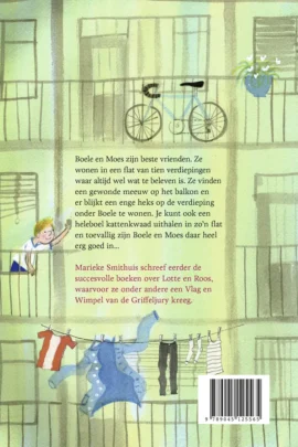 Alternative view of De koning van de flat