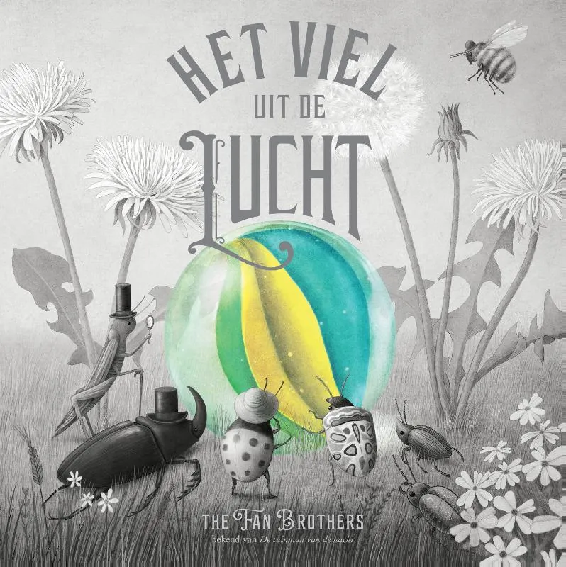 Het viel uit de lucht | 9789025884000 Het viel uit de lucht