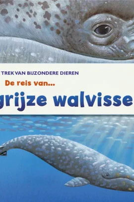 De reis van grijze walvissen