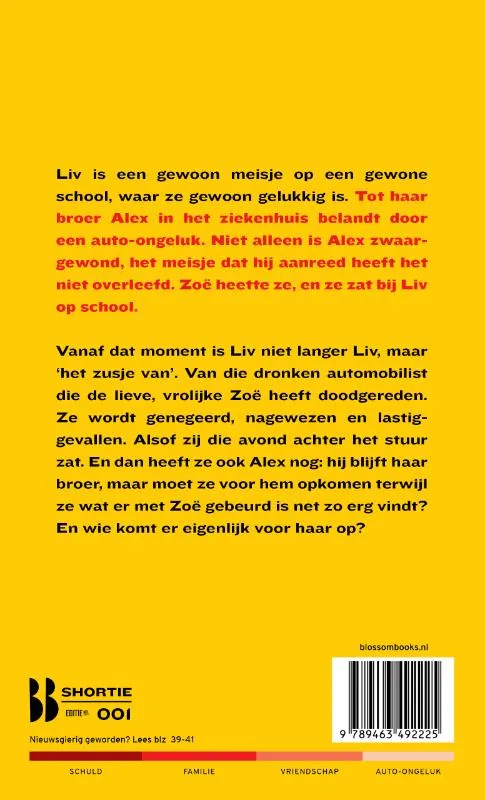 Het zusje van | 9789463492225 Het zusje van - Afbeelding 2