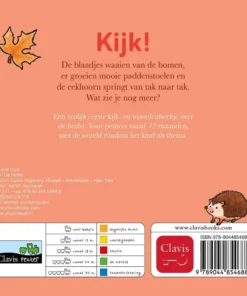 Alternative view of De herfst