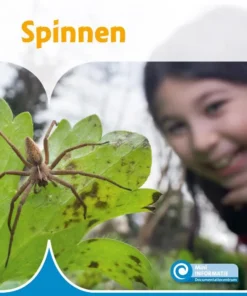 Spinnen