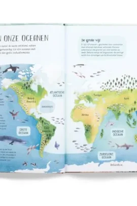 Alternative view of Zwem mee met schildpad in de diepe zee!