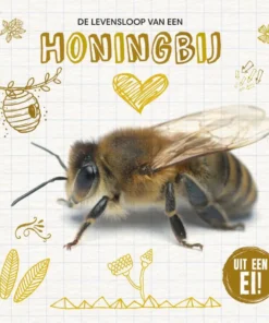 De levensloop van de honingbij