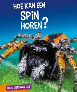 Hoe kan een spin horen?