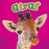 Giraf | 9789463412186