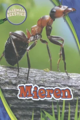 Mieren