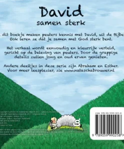 Alternative view of David