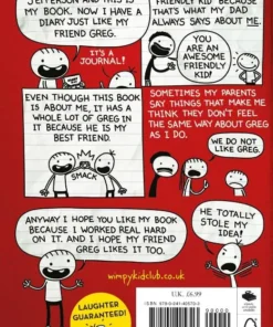 Alternative view of Diary of an Awesome Friendly Kid