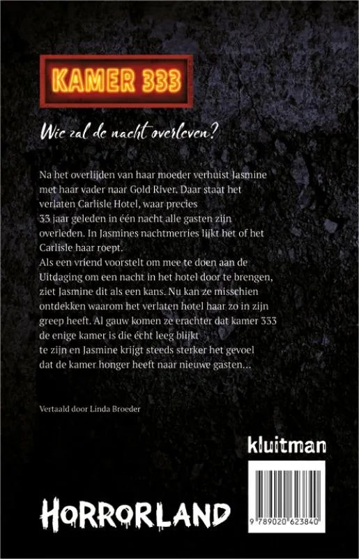 Kamer 333 | 9789020623840 Kamer 333 - Afbeelding 2