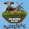 Heimwee naar hagelslag | 9789463418386 Heimwee naar hagelslag | 9789463418386