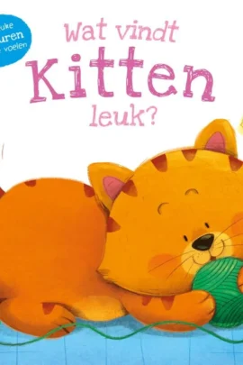 Wat vindt kitten leuk?