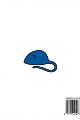 Alternative view of Kleine Pluis