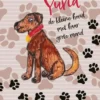 De avonturen van Yuna, de kleine hond met haar grote mond | 9789465096605