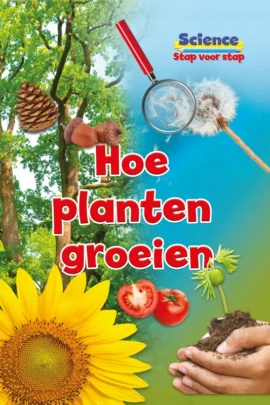 Hoe planten groeien