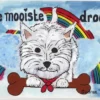 De mooiste droom | 9789493293199