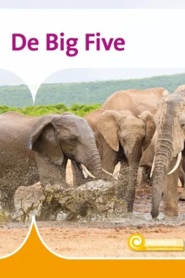 De Big Five