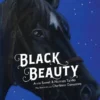 Black Beauty | 9789083401645
