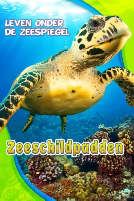 Zeeschildpadden