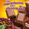 Van cacaoboon naar chocola | 9789086648832