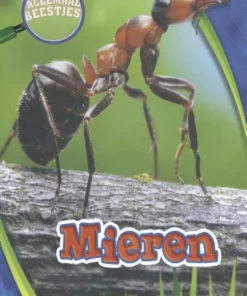 Mieren