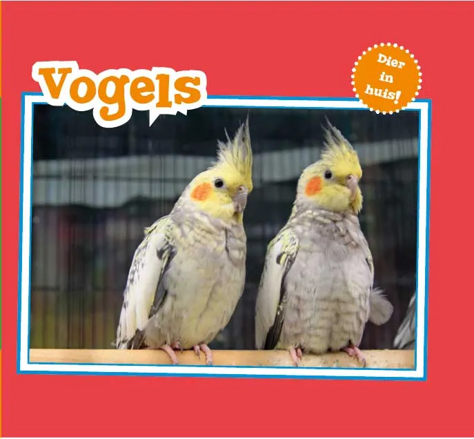 Vogels | 9789463412186 Vogels