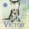 Victor, the Wolf with Worries | 9781529052565