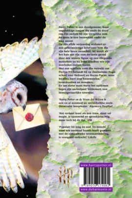 Alternative view of Harry Potter en de steen der wijzen