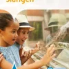 Slangen | 9789464390995