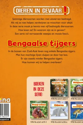 Alternative view of Bengaalse tijgers