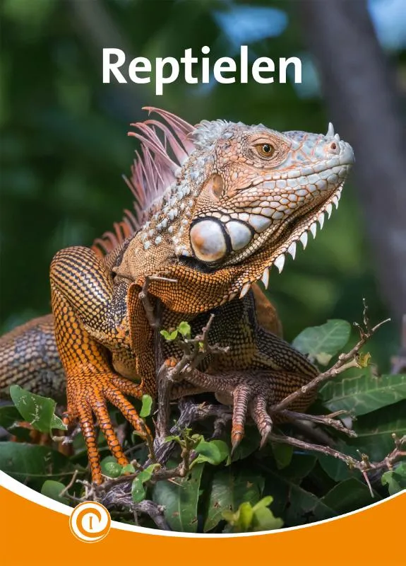 Reptielen | 9789464392210 Reptielen