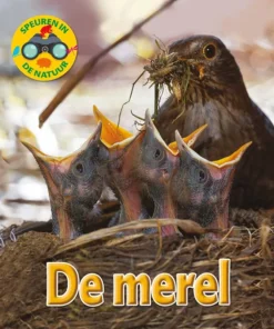 De merel