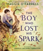 The Boy Who Lost His Spark | 9781529513622