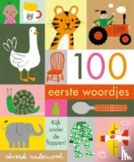 100 eerste woordjes | 9789002267956